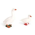 thumbnail image 3 of Simulation Duck Eggs Incubation Set Animal Growth School Learning Educational Imagination Toy Yard Accessories for Children, 3 of 8