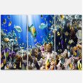 thumbnail image 2 of Coral Colony and Coral Fish - Seascape Canvas Art Print, 2 of 3