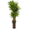 thumbnail image 2 of 5’ Cornstalk Dracaena Plant in Wooden Planter, 2 of 2
