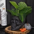 thumbnail image 2 of Esterno Black Skull Planter Pot, Horror Zombie Theme Decorative Mini Planter for Air Plants, Succulents, Cacti, and Carnivorous Plants, 2 of 9