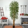 thumbnail image 3 of Nearly Natural 8' Fancy Style Bamboo Artificial Tree, 3 of 3