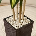 thumbnail image 4 of 7ft UV Resistant Artificial Dracaena Tree with Brown Tall Planter, Pre Potted Fake Plants for Indoor Outdoor Home Decor, Big Faux Tree Fake Plants for Office House Decor, 4 of 10