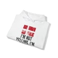 thumbnail image 4 of Denmark Danish Pride Flag Hoodie, Gifts, Hooded Sweatshirt, 4 of 4