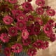 thumbnail image 5 of Xihbxyly Arreglo Floral de Manzanilla, Plantas Artificiales Realistas, Colores Amarillo y Rosa Brillantes, Decoración Vibrante para El Hogar, Accesorios de Fotografía para Sala de Estar y Bodas, Tama, 5 of 6