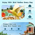 thumbnail image 3 of KFFKFF Smart Bird Feeding Camera, 2K High Definition, Powered by Solar Energy, Features Automatic Recognition & Notifications, Perfect for Outdoor Enthusiasts, Comes with Trio Solar Panels, 3 of 9