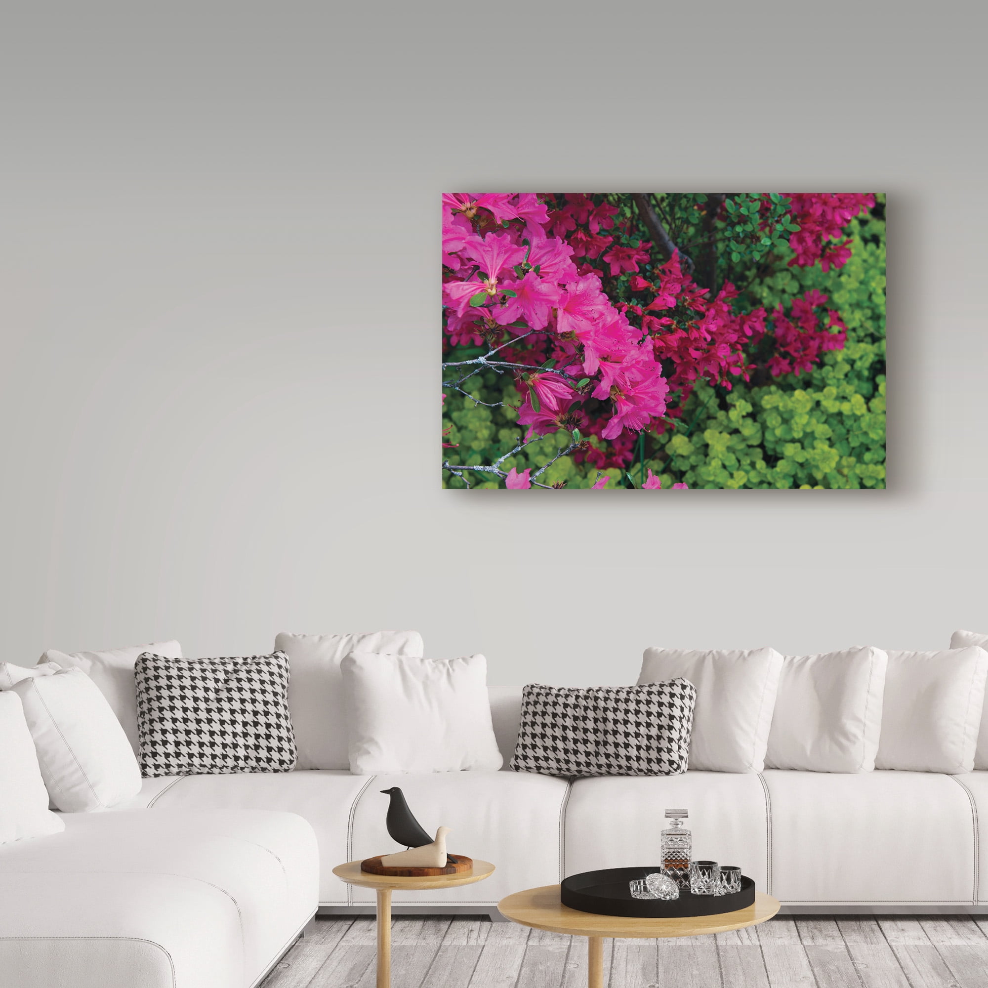 Trademark Fine Art 'Hot Pink, Red and Chartreuse' Canvas Art by Kurt Shaffer