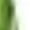 Green, variant on Womens Pants Pu Leather Leggings Fashion Slim Fit Shiny Glossy Flared Long Pants Stylish Casual Daily Streetwear Going Out Trousers