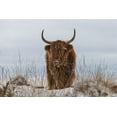 thumbnail image 2 of Den, Van 24x17 White Modern Wood Framed Museum Art Print Titled - Highlander in Snow, 2 of 4