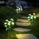 thumbnail image 5 of Luces de flores de rosa solar para exteriores | 5 Cabezas | Decorativo de jardín impermeable | Iluminación de césped de villa de patio con energía solar | Rojo Amarillo Azul Rosa Blanco | Paquete de, 5 of 6