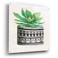 thumbnail image 2 of Epic Art 'Cactus Mud Cloth Vase IV' by Cindy Jacobs, Acrylic Glass Wall Art, 36"x36", 2 of 8