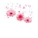 thumbnail image 2 of Pink Sunflower "Faith" Printed Ladies Short-Sleeved T-Shirt, Printed Round Neck Short-Sleeved T-Shirt, Versatile High-Quality Leisure Sports, Fashion, Women'S Wear., 2 of 7