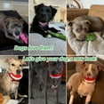 thumbnail image 4 of Pet Deluxe 4 Pack Large Dog Chew Toys for Aggressive Chewers Tough Dog Toys to Keep Them Busy Indestructible Super Chewer for Medium, Large Breed, 4 of 8