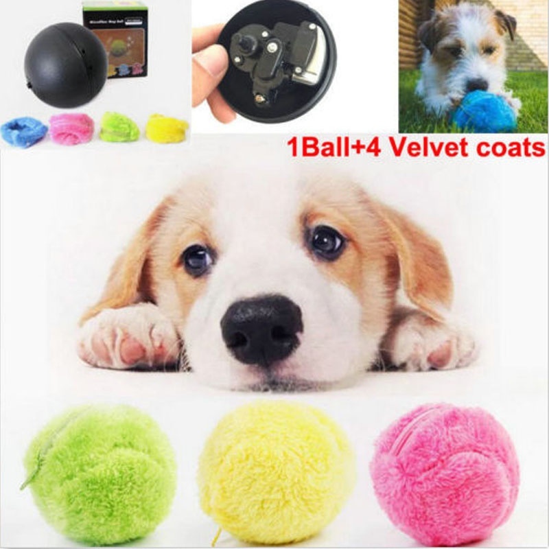 dog activation ball