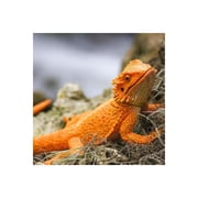 Safari Ltd. Bearded Dragon Figurine - Lifelike 8.5 Model Figure - Educational Toy for Boys, Girls, and Kids Ages 18M+