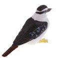 thumbnail image 4 of Animal realista modelo estatuilla ciencia naturaleza juguetes pájaro Zulema Juguete modelo animal, 4 of 6