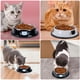 thumbnail image 5 of Byepica 2 Cuencos para Mascotas de Acero Inoxidable Antideslizante Lindo Cuenco para Perros Cuenco para Gatos con 2 Cucharadas de Comida, 5 of 8