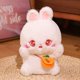 thumbnail image 1 of Cute / Soft / Beautiful / Rabbit Plush Toy / Rabbit Doll with Carrot Bag / Children's Birthday Gift / Christmas Giftwhite25cm Deng Xun unisex, 1 of 2