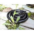 thumbnail image 3 of Realistic Rubber Black Snake 52 Inch Long Scary Toy5.91 x 5., 3 of 4