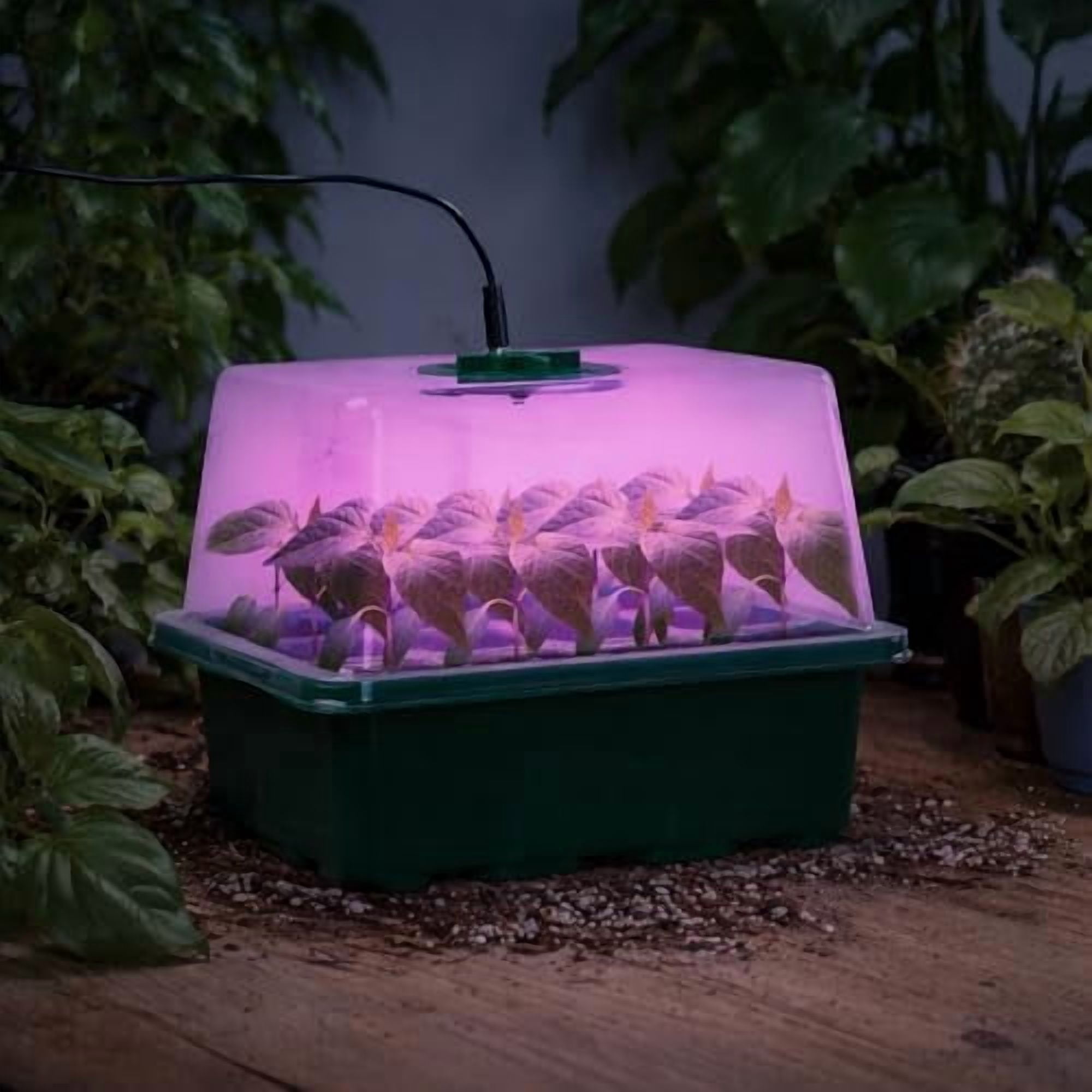 5 Packs Seed Starter Tray with Plant Light, Elevated Seedling Starter Trays Kits with Adjustable Humidity Domes and Clear Cell Tray, 12 Full Spectrum led lamp Beads for Plants Indoor-Green
