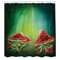 thumbnail image 3 of Ambesonne Colorful Shower Curtain, Mysterious Mushrooms, 69"Wx84"L, Sea Green Red Cream, 3 of 5