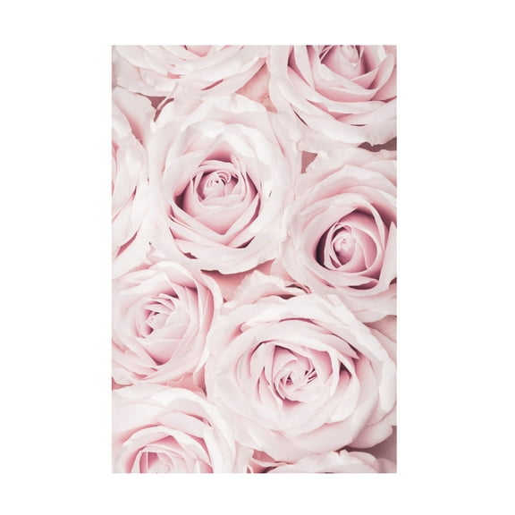 Trademark Fine Art Pictufy Studio Pink Roses No 02 Canvas Wall Art