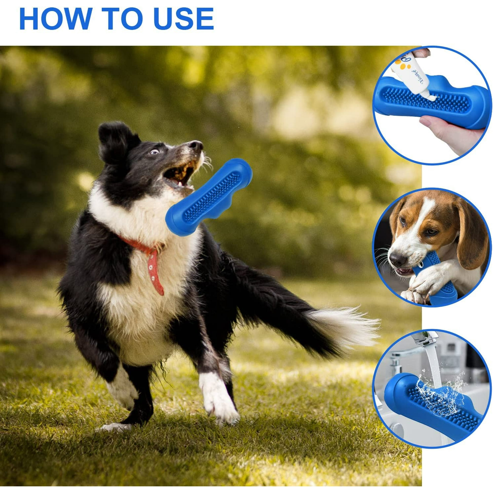Jouets à Mâcher Pour Chien, Jouet Chien Indestructible Grinçants Pour Petits/Moyens/Grands Chiens, Jouet Pour Chien Caoutchouc Naturel Pour Nettoyage Des Dents, Grincement Des Dents, Dressage (Bleu