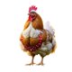 thumbnail image 4 of Adorno Navideño De Animales Para Exteriores, Gallina, Enchufe De Suelo, Adorno Navideño De Animales Para Exteriores, Enchufe De Suelo, Acrílico 2D, Enchufe Navideño De Animales, 4 of 4