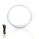 thumbnail image 1 of PETS COLLAR LED LIGHTING Suministros para mascotas Ajustable USB Carga Luminosa Pérdida Luminosa Accidentes Cuellos de Luz Collars Safety Para El Outdoor Medium White Advancent HA010373-16, 1 of 6