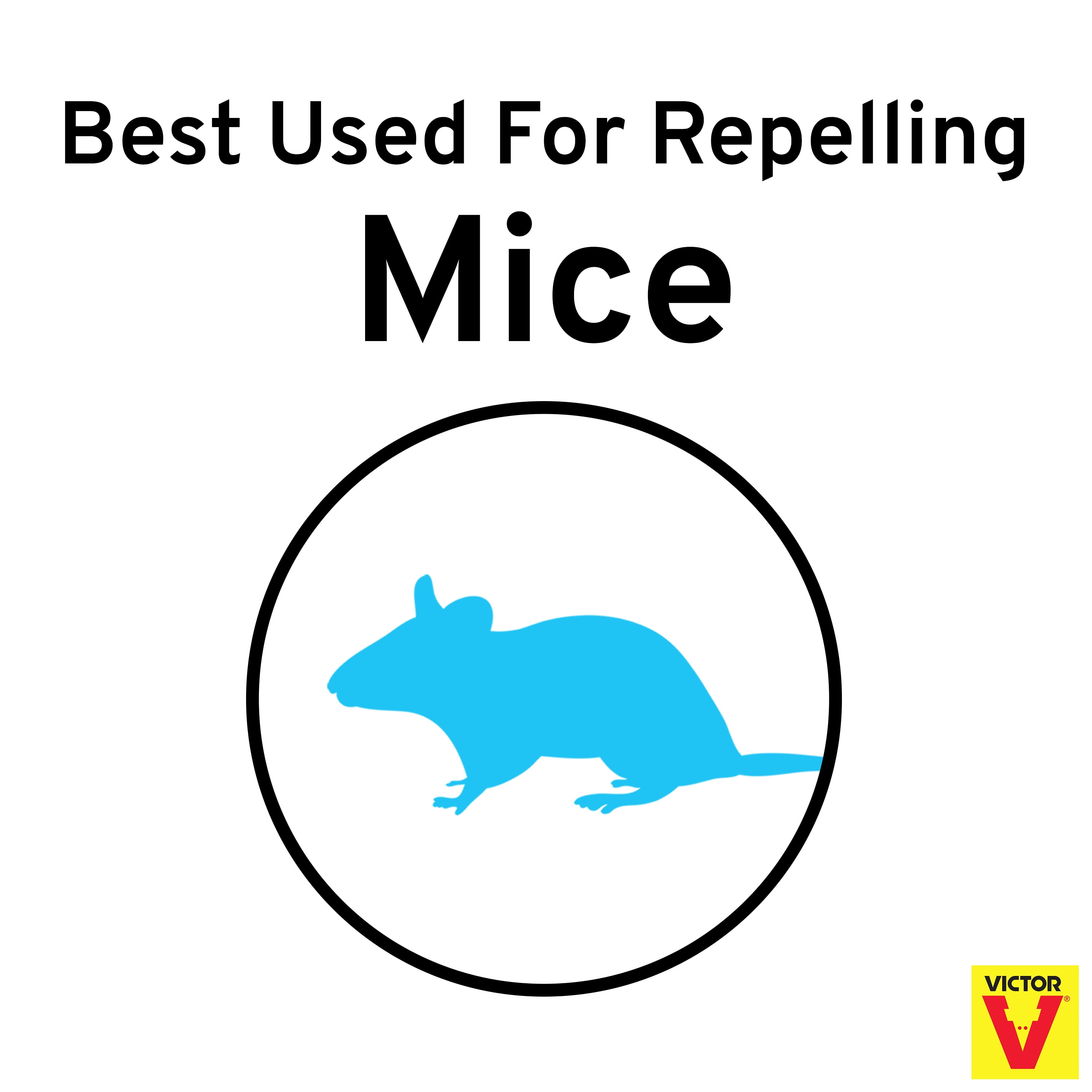 Victor M925 Ready-to-Use Rodent Poison Killer - Kills Rats, Mice, and  Meadow Voles, Yellow