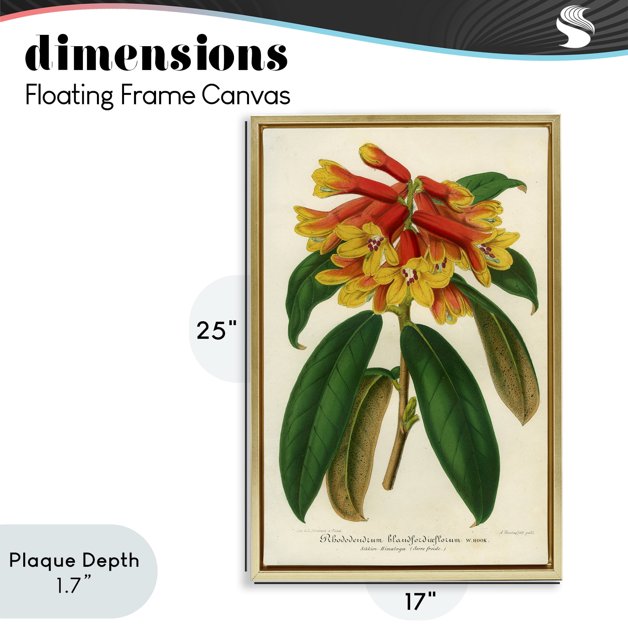 Stupell Industries Orange Yellow Rhododendron Gold Framed Floater Canvas Wall Art, design by Print Collection