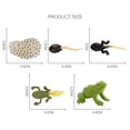 thumbnail image 3 of Partheme Novelty Toys 3 Counts Educational Simulation Children's Growth Cycle Model Toys B C D E, 3 of 3