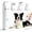 white, variant on 4-in-1 Pet Hair Shaver, 2026 New Electric Dog Trimmer for Paws, Pet Clippers Low Noise Cordless Quiet Hair Clippers Set, Paw Trimmer for Dogs Cats Pets