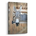 thumbnail image 2 of Epic Art 'Curious Donkey' by Lori Deiter Acrylic Glass Wall Art, 12"x16", 2 of 8