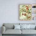thumbnail image 3 of Trademark Fine Art 'The Cherry Tree Fairy' Canvas Art by Vision Studio, 3 of 3