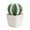 B, variant on Mini Artificial Cactus Plants in Pots 1 Pc Potted Faux Succulents in Pots Fake Potted Plants Cactus Decor Small Artificial Plant for Home Decor Indoor Office Desk Tabletop Shelf, 1.97x3.54 Inch, A