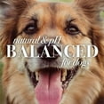 thumbnail image 6 of Burt's Bees Natural Deodorizing Dog Shampoo with Apple & Rosemary, Sulfate & Paraben Free, 16 oz, 6 of 10