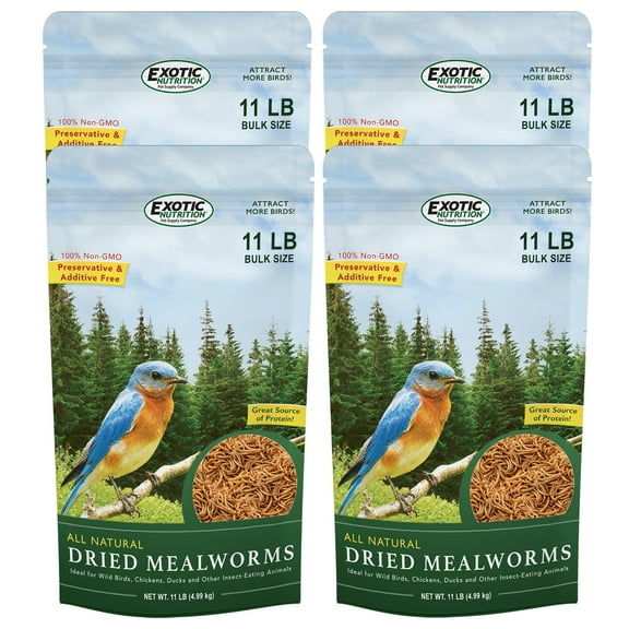 Exotic Nutrition Dried Mealworms 44 lb.
