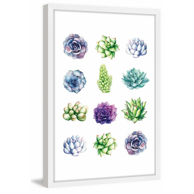 Marmont Hill Succulent Chart by Shayna Pitch Framed Painting Print
