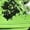 Fluorescent Green, variant on Boys Youth Dirt Bike Gear Motocross Jersey and Pants Lightweight Breathable for Riding Exercise Red 14