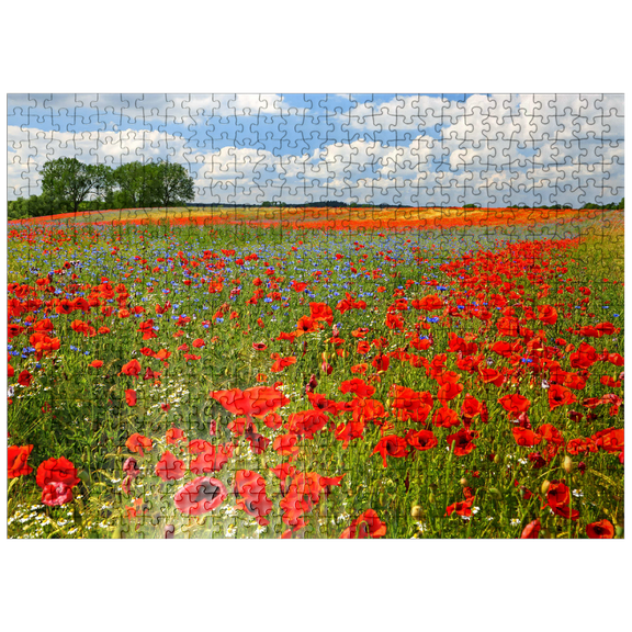 MyPuzzle - Poppy Field Near Schwerin - Premium 500 Piece Jigsaw Puzzle for Adults