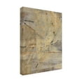 thumbnail image 2 of Trademark Fine Art 'Rock Viia' Canvas Art by Albena Hristova, 2 of 3