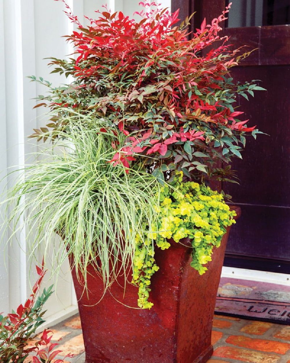 Southern Living Nandina Obsession Live Shrub in 3-Gallon Grower Pot