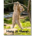thumbnail image 1 of CHL-Hang in There Cat Poster - Printed on Premium Cardstock Paper - Sized 11 x 14 Inch - Perfect Funny Motivational Poster for Home or Office - Humorous Decor, Funny Quote, 1 of 4