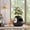 Black, variant on Jaxpety 4-in-1 Cat Bed for Indoor Cats, Large Cat House with Cat Scratcher, Odor Control & Plant Pot Design, Enclosed Cat Cave for Kitten & Adult Cats,Black