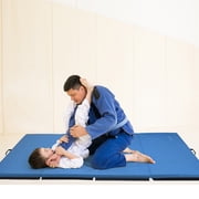 BalanceFrom 10ft x 4ft x 2in 4-Panel All-Purpose Folding Gymnastics Mat, Blue