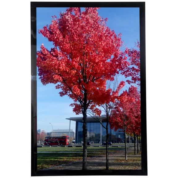 Medog 11 By 17 Picture Frame Without Mat To Display Picture 11X17 Wall Mounting