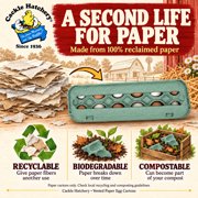 Vented Paper Pulp Egg Cartons - Teal (12-Pack)