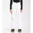 thumbnail image 1 of The North Face Freedom Insulated Pant - Women's, 1 of 19