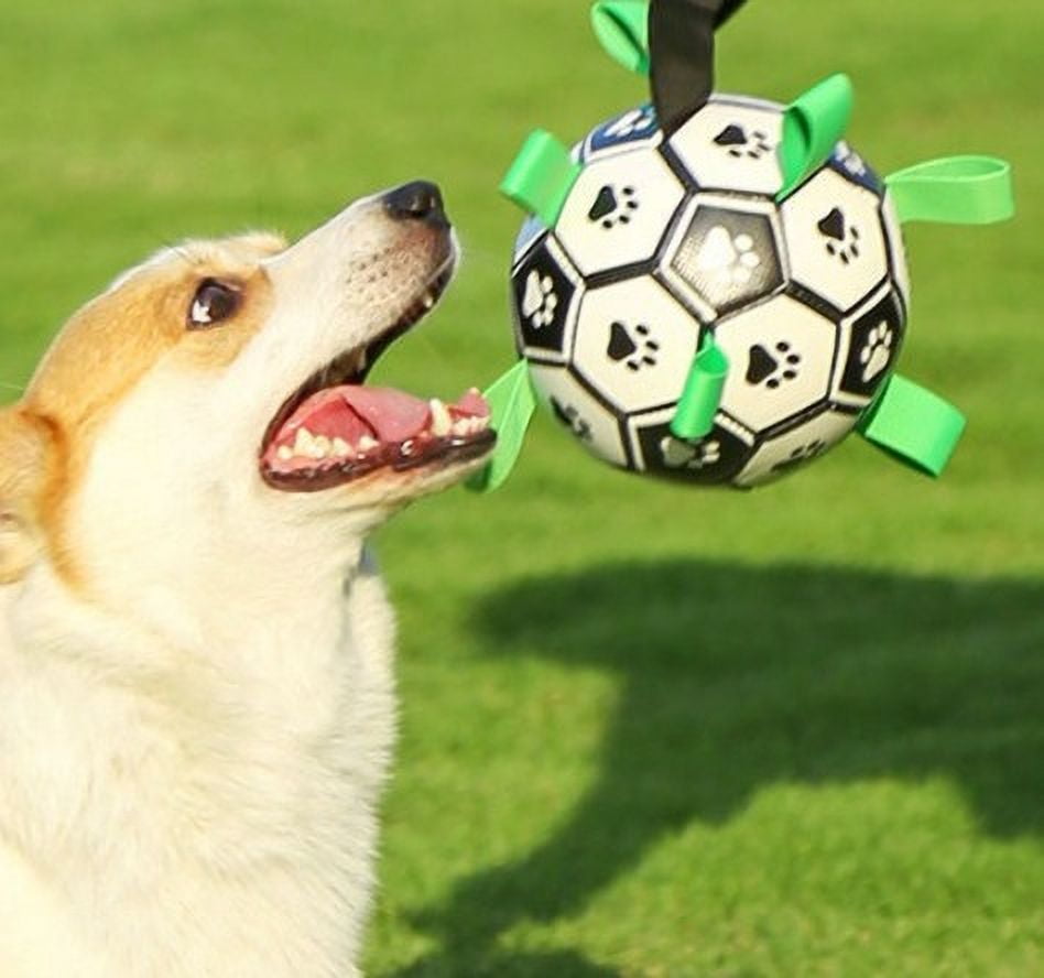 Lanzador De Pelotas Para Perros Pet Prime Pelota Interactiva Para