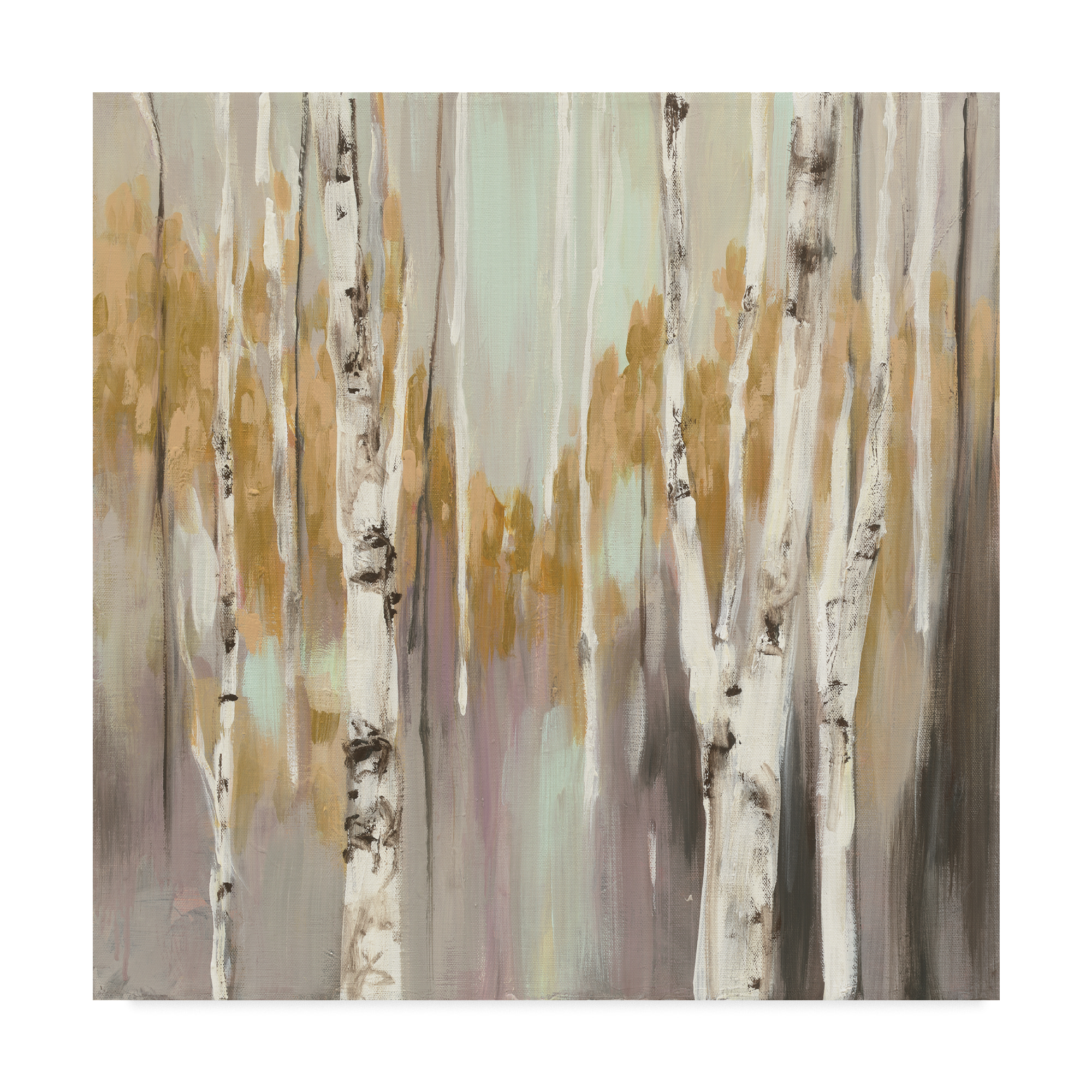 Trademark Fine Art 'Silver Birch II' Canvas Art by Julia Purinton